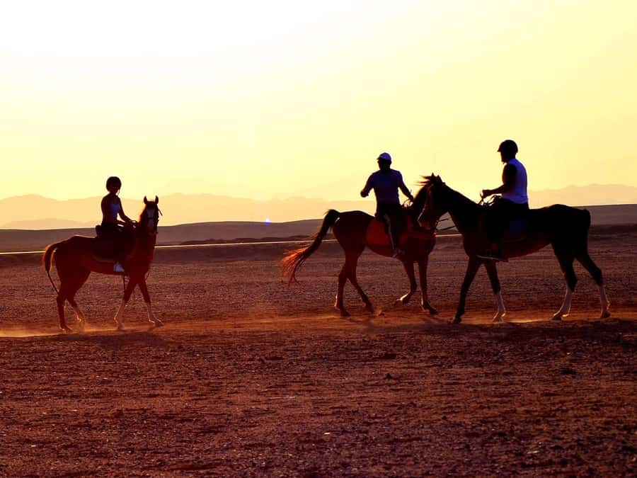 From Hurghada: Makadi Bay Horse Riding Tour - From hotel pickup to the Makadi Bay riding base