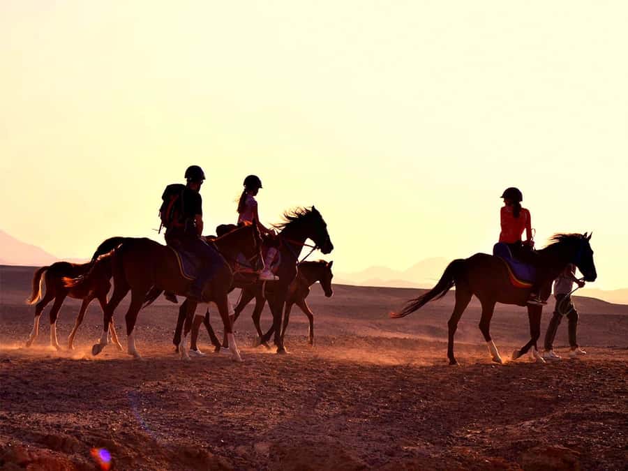 From Hurghada: Makadi Bay Horse Riding Tour - Two hours through desert and shore