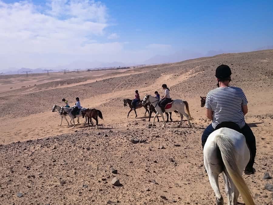 From Hurghada: Makadi Bay Horse Riding Tour - Sunrise at 5:00 AM with breakfast