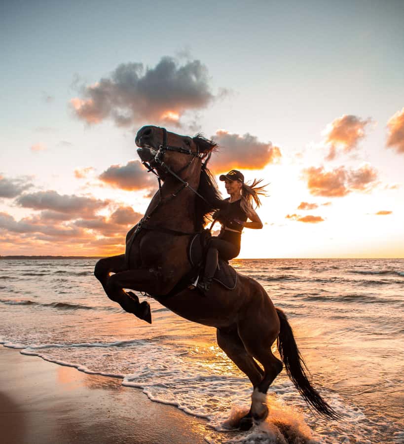 From Hurghada: Makadi Bay Horse Riding Tour - Sunset, dinner, live show, and stargazing