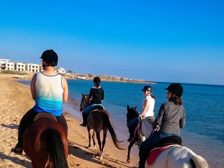 From Hurghada: Makadi Bay Horse Riding Tour - The four-hour VIP ride and Red Sea swim