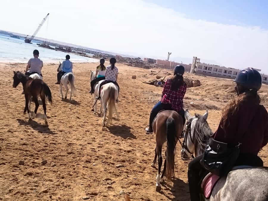 From Hurghada: Makadi Bay Horse Riding Tour - How the value compares at $20