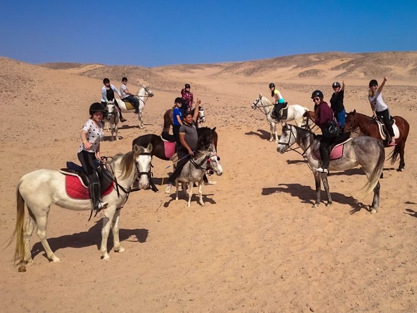From Hurghada: Makadi Bay Horse Riding Tour - Who will enjoy this ride most