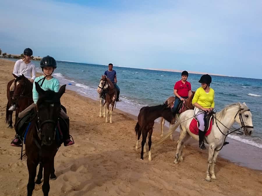 From Hurghada: Red Sea Sunrise and Desert Horseback Riding - Sunset, dinner, entertainment, and stars