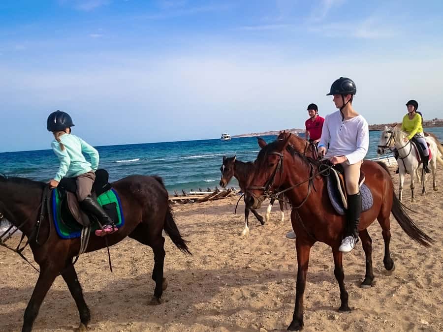 From Hurghada: Red Sea Sunrise and Desert Horseback Riding - The quad bike and horse combination