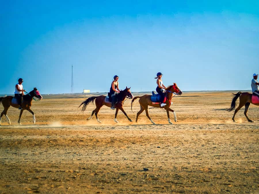 From Hurghada: Red Sea Sunrise and Desert Horseback Riding - How much value do you get for $29?