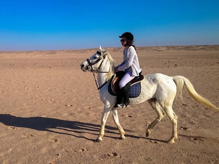 From Hurghada: Red Sea Sunrise and Desert Horseback Riding - Who should book this ride?