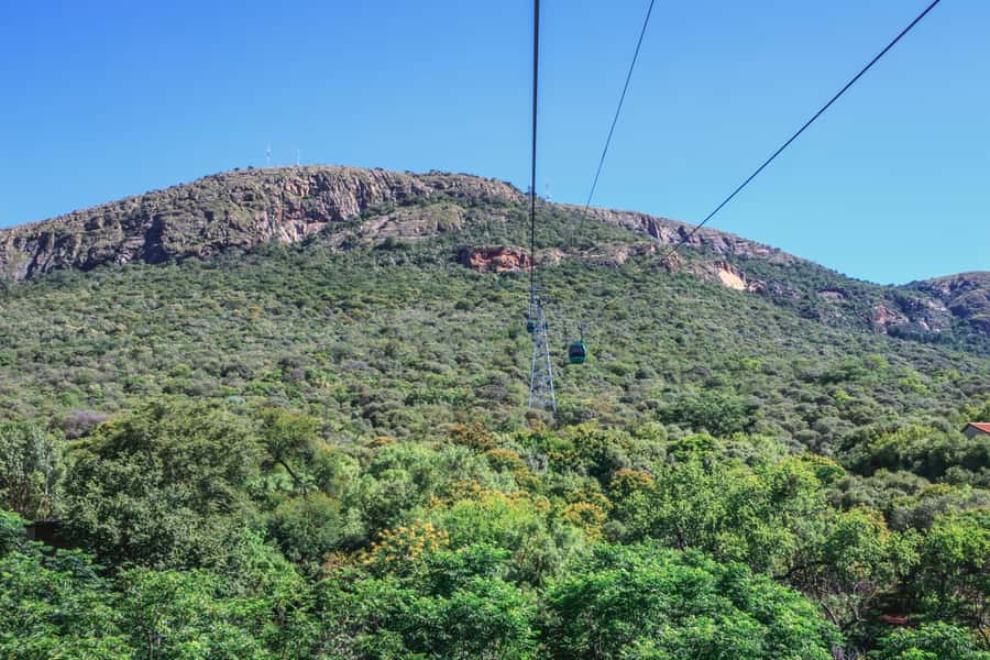 From Johannesburg: Horse-Riding Safari and Cable Car Tour - Cancellation and booking flexibility