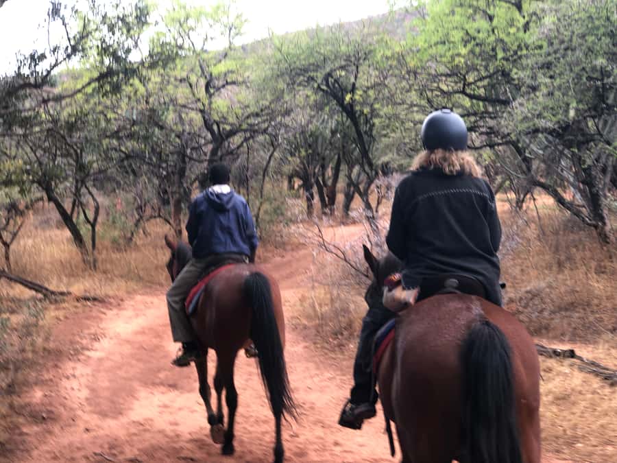 From Johannesburg: Horse-Riding Safari and Cable Car Tour - The Magaliesberg cable car adds a second view