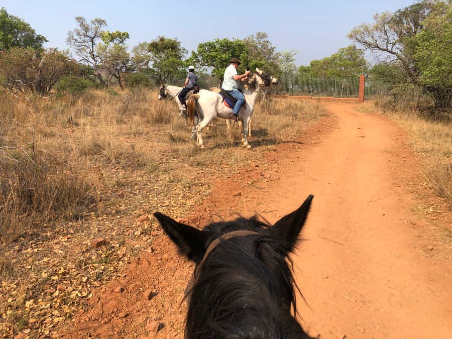 From Johannesburg: Horse-Riding Safari and Cable Car Tour - A long but neatly divided seven-hour day