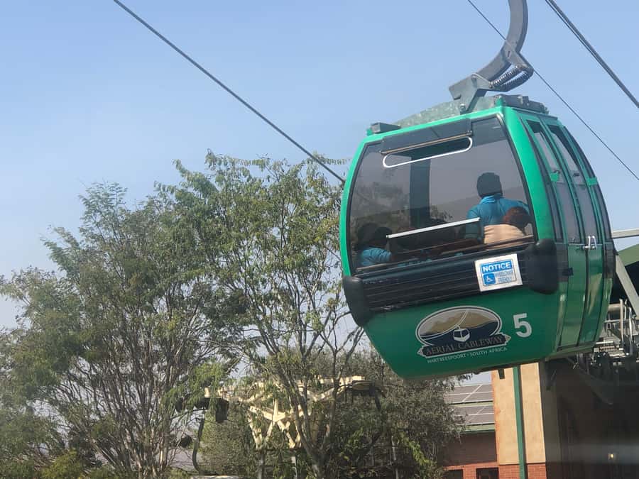 From Johannesburg: Horse-Riding Safari and Cable Car Tour - Who will enjoy this combination most