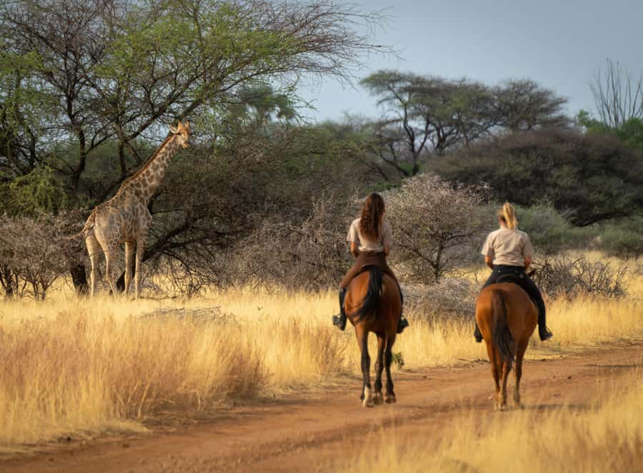 From Johannesburg: Horse-Riding Safari and Cable Car Tour - Two hours on horseback in the reserve