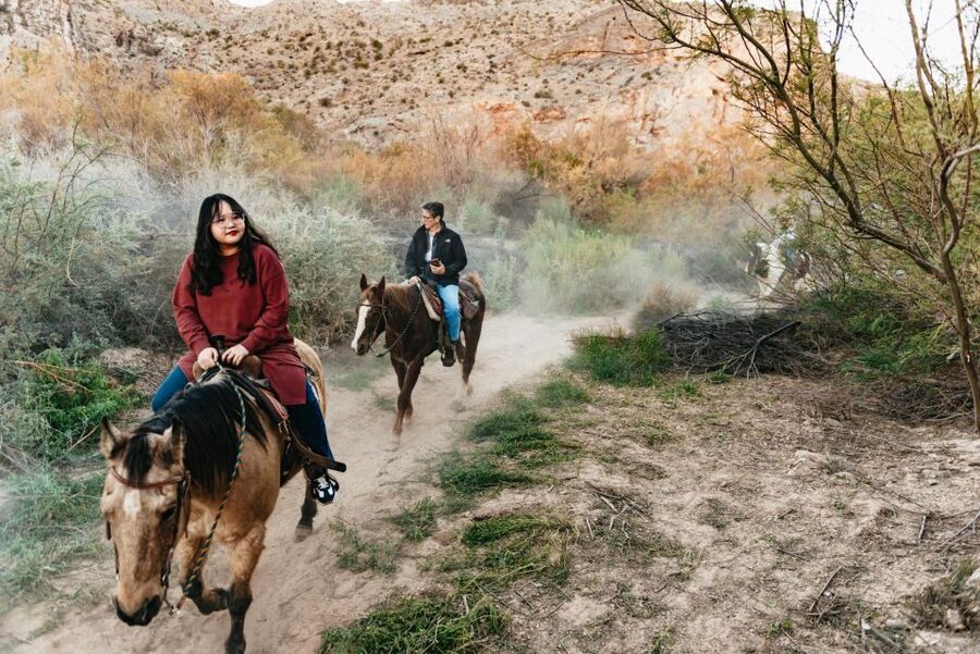 From Las Vegas: Desert Sunset Horseback Ride with BBQ Dinner - Who will enjoy this most?