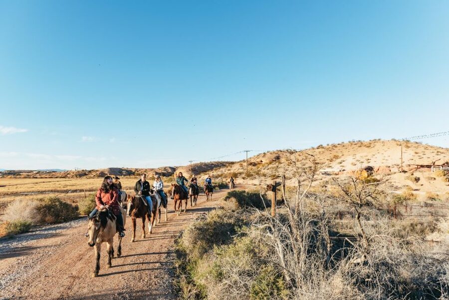 From Las Vegas: Desert Sunset Horseback Ride with BBQ Dinner - A ranch setting with more than horses