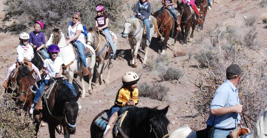 From Las Vegas: Maverick Ranch Breakfast and Horseback Ride - Meeting the horses at Maverick Ranch