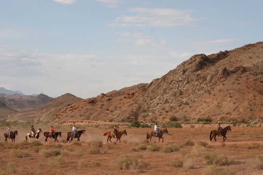 From Las Vegas: Maverick Ranch Breakfast and Horseback Ride - Ranch animals and simple cowboy skills