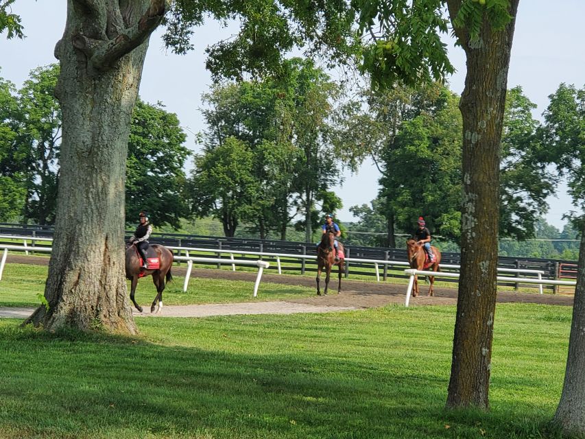 From Lexington: Kentucky Horse Farms Tour - Three stops beyond Lexington’s city streets
