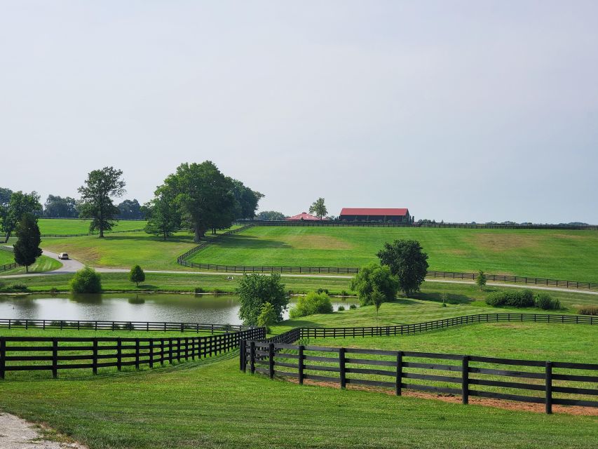 From Lexington: Kentucky Horse Farms Tour - Is this a good tour for families?