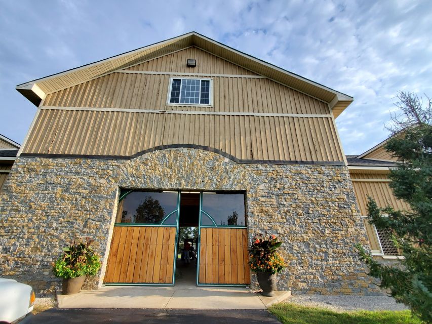 From Lexington: Kentucky Horse Farms Tour - KatieRich Farms and the chance to meet the horses