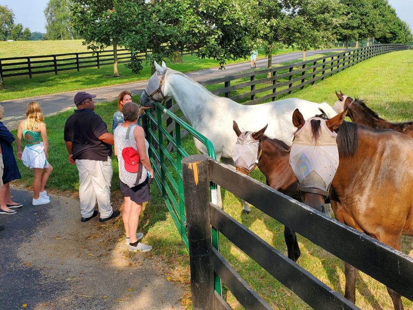 From Lexington: Kentucky Horse Farms Tour - Your guide is the heart of the outing