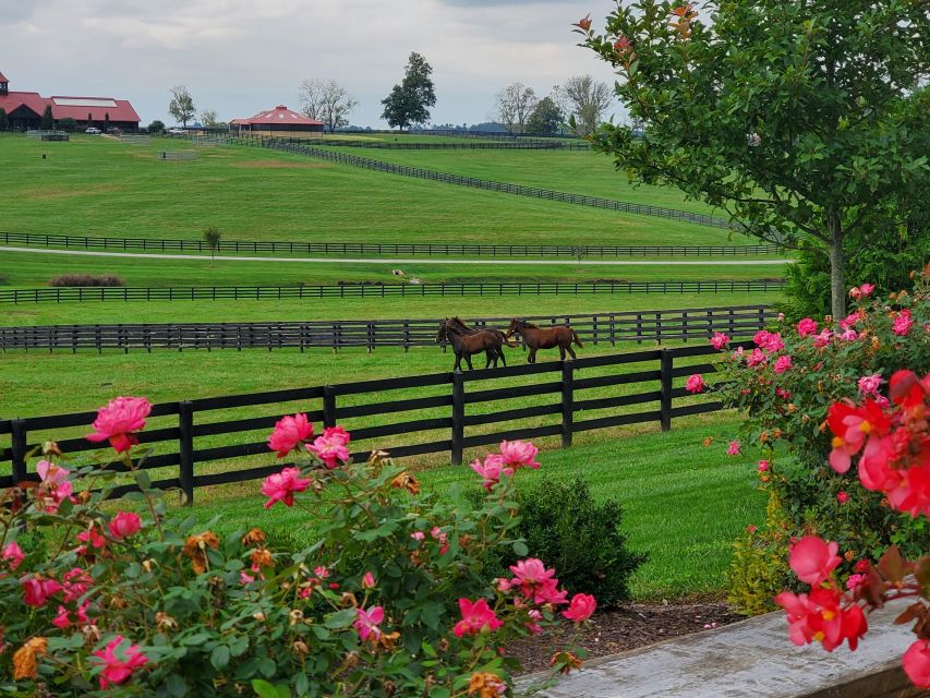 From Lexington: Kentucky Horse Farms Tour - What you learn about Kentucky horse racing