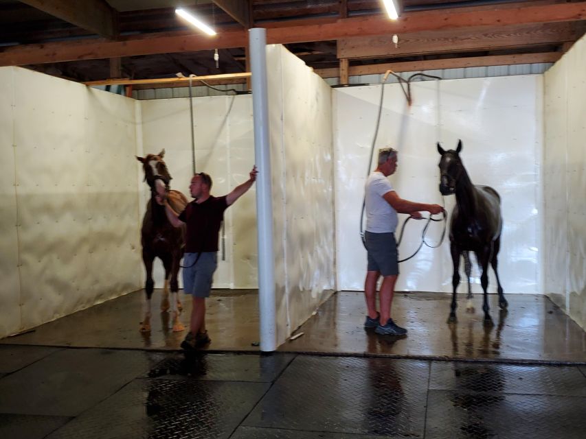 From Lexington: Kentucky Horse Farms Tour - Meeting at Manchester Hotel Lexington