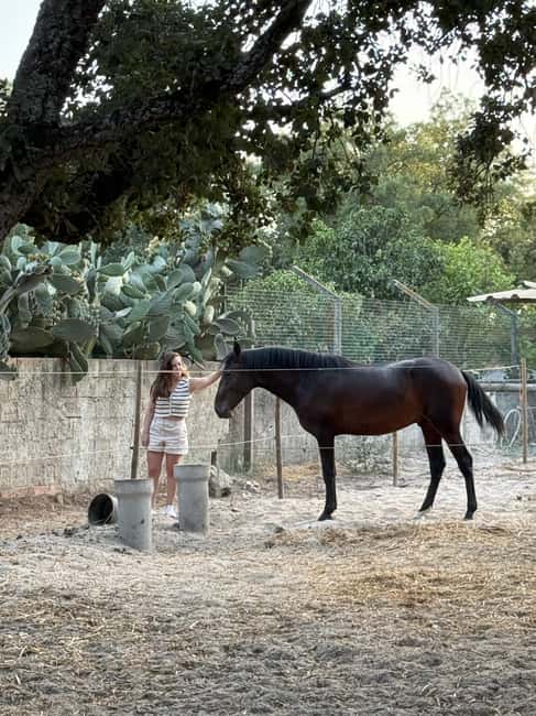 From Lisbon: Amazing Horseback Ride, Tasting, Estates, and Cristo Rei - Cristo Rei and the Tagus view