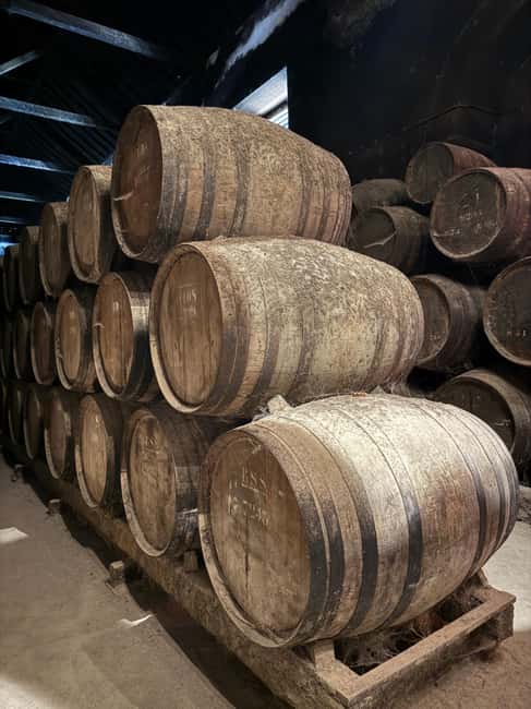From Lisbon: Amazing Horseback Ride, Tasting, Estates, and Cristo Rei - Who should book this outing?