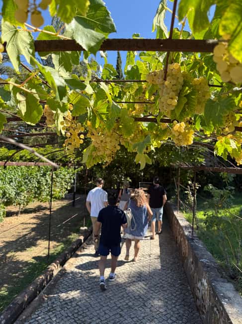 From Lisbon: Amazing Horseback Ride, Tasting, Estates, and Cristo Rei - Booking details worth knowing