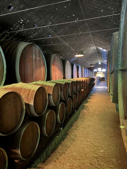 From Lisbon: Amazing Horseback Ride, Tasting, Estates, and Cristo Rei - Horseback riding in Moita