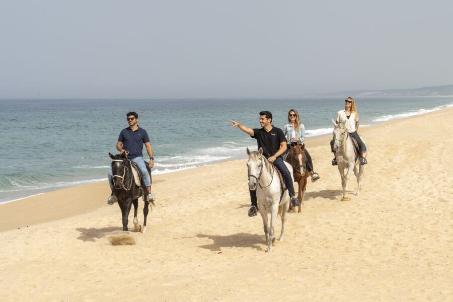 From Lisbon: Comporta and Setúbal Trip with Horseback Riding - Key points to know before you book