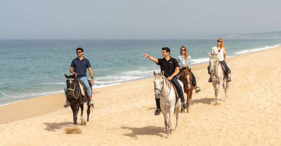From Lisbon: Comporta and Setúbal Trip with Horseback Riding - Why this Lisbon day trip works so well