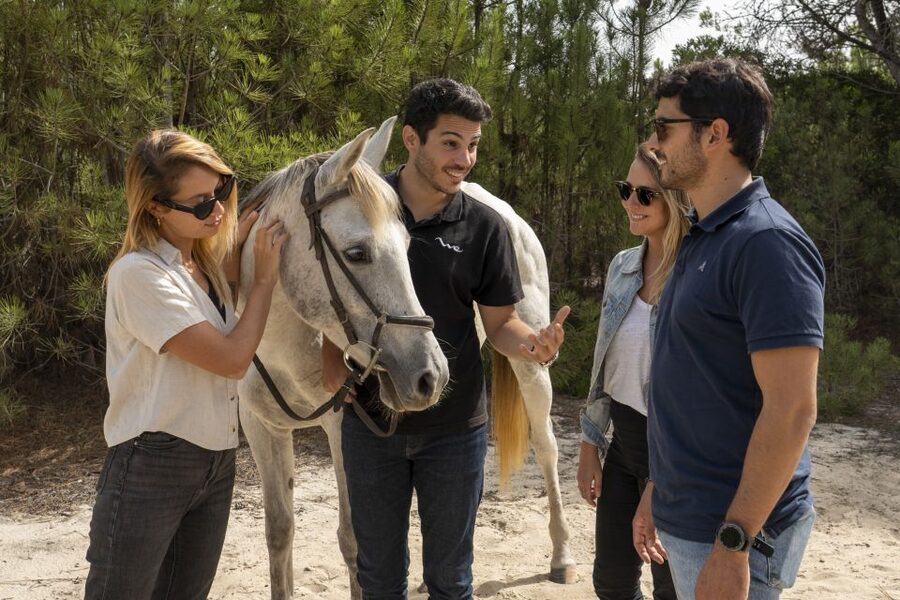 From Lisbon: Comporta and Setúbal Trip with Horseback Riding - Crossing the Sado Estuary to Troia