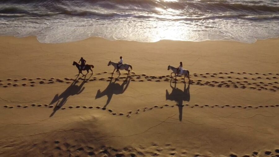 From Lisbon: Horseback Riding on Comporta Beach - From Lisbon to the Comporta coast