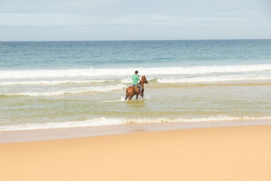 From Lisbon: Horseback Riding on Comporta Beach - Two hours through dunes and open sand