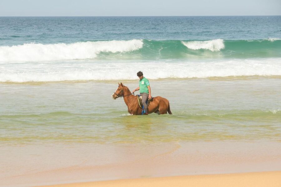 From Lisbon: Horseback Riding on Comporta Beach - Starting in the Atlantic forest