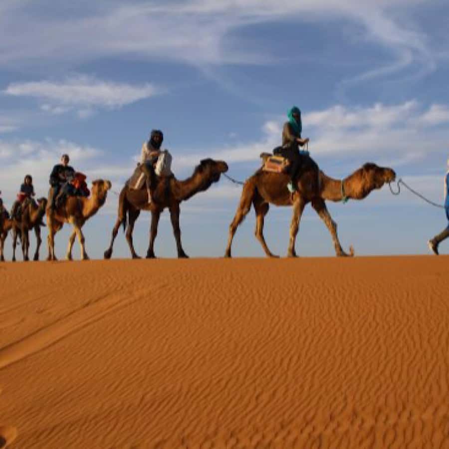 From Marrakech: Agafay Desert Horse ride with sunset - FAQ
