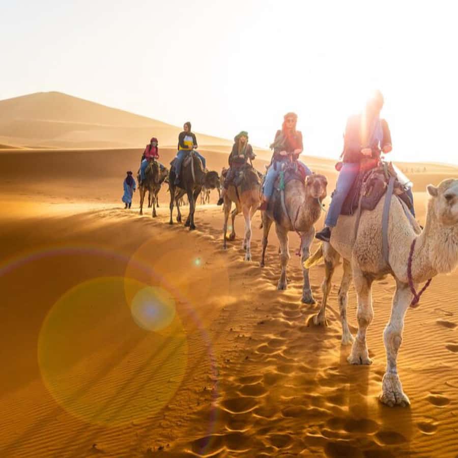 From Marrakech: Agafay Desert Horse ride with sunset - What the driver and guides add