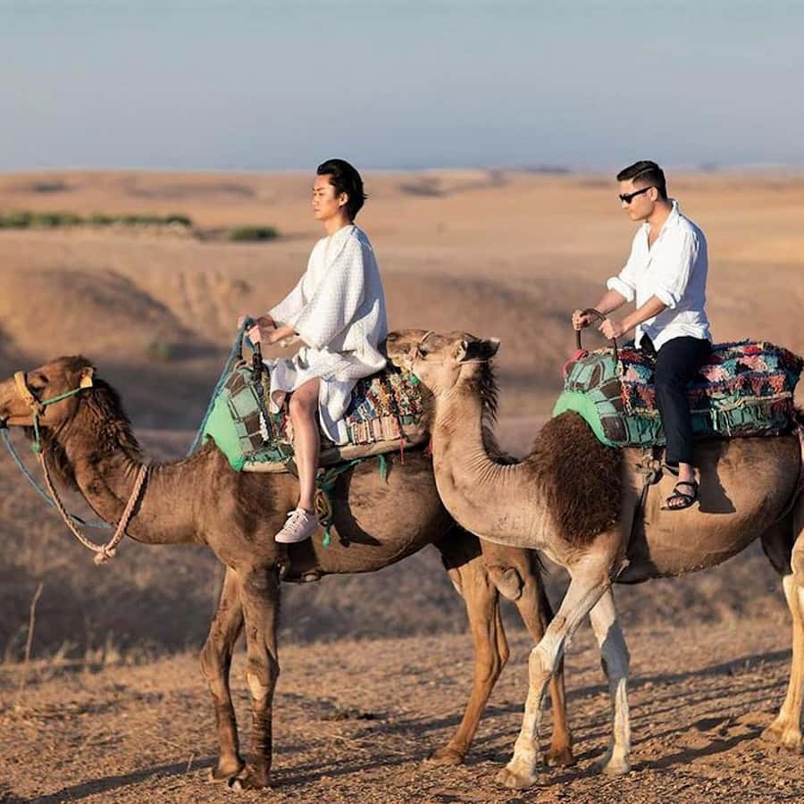 From Marrakech: Agafay Desert Horse ride with sunset - Should you book it?