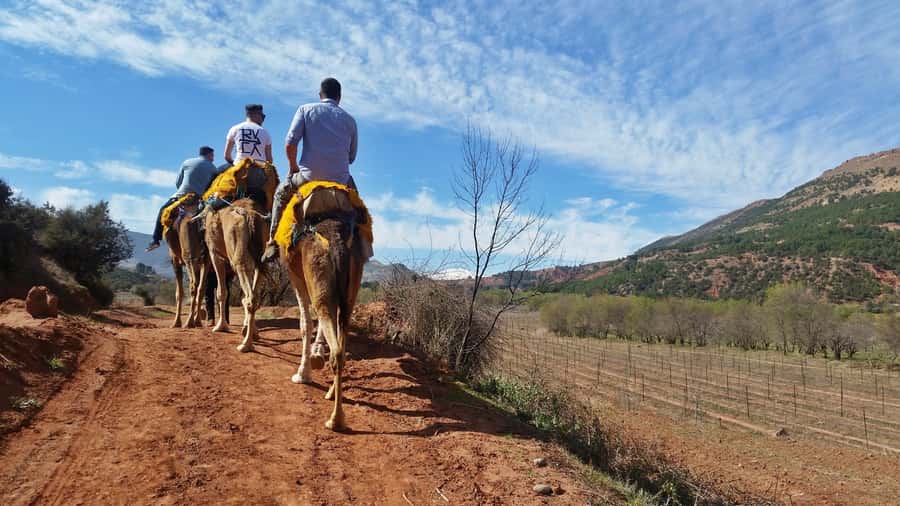 From Marrakech: Atlas Mountains 45-Minute Horseback Ride - A 45-minute ride beneath the mountains