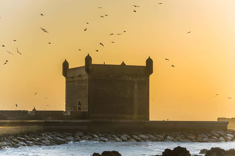 From Marrakech: Essaouira day Trip with camel, horse & quad - Timing, comfort, and value at $20