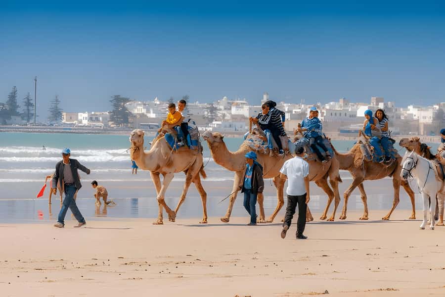 From Marrakech: Essaouira day Trip with camel, horse & quad - Four hours to make your own Essaouira plan