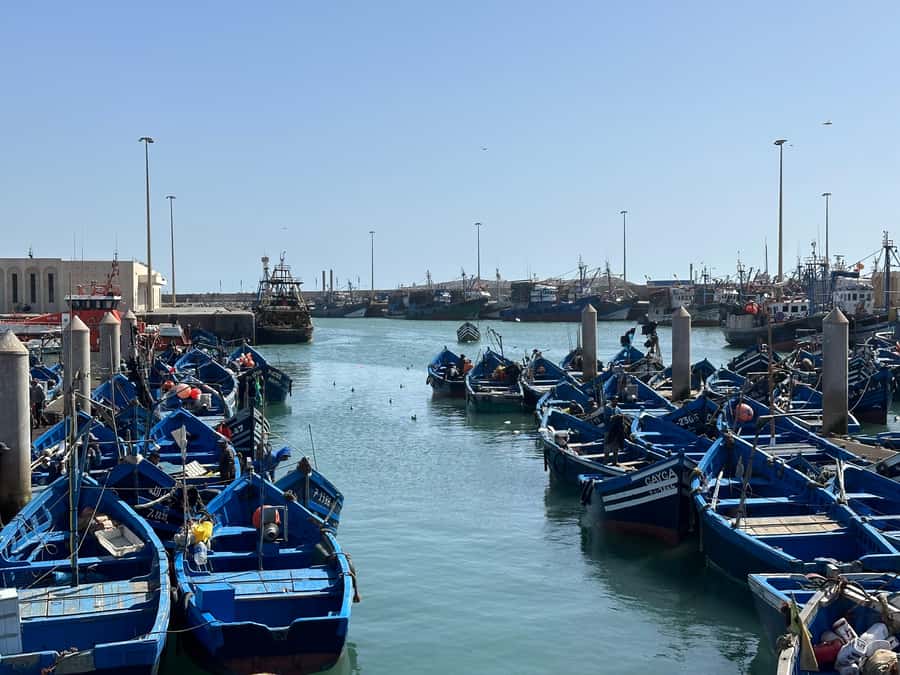 From Marrakech: Essaouira day Trip with camel, horse & quad - The early road from Marrakech