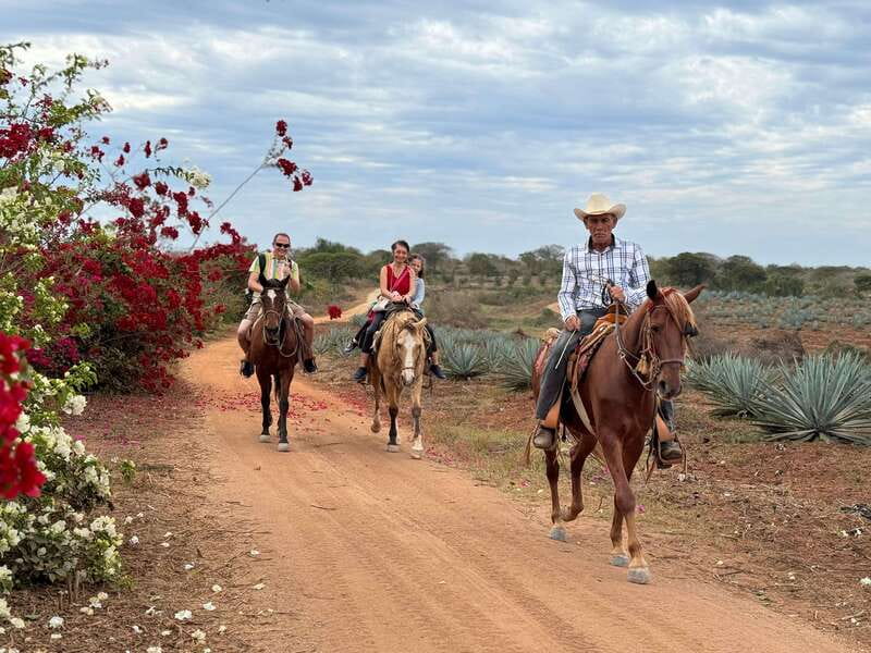 From Mazatlan: ATV & Horse Back riding with Tequila Tasting - From Mazatlán to a working ranch