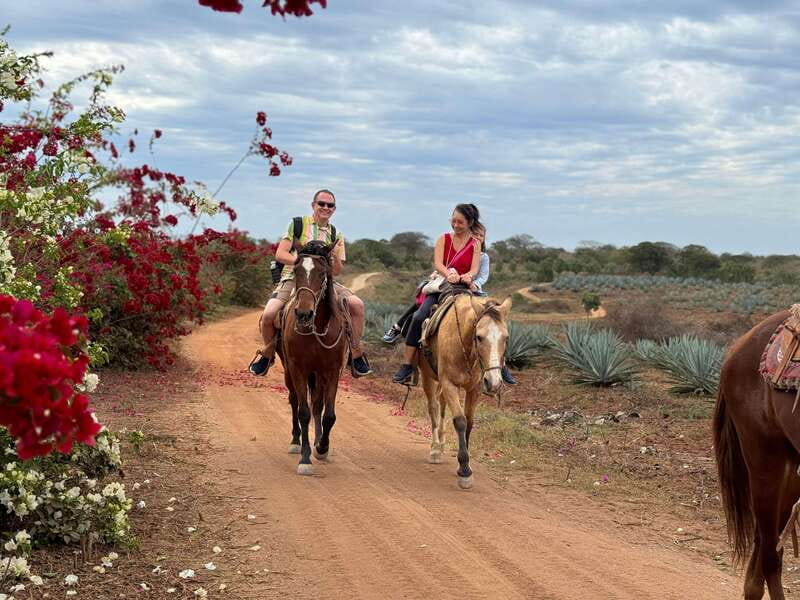 From Mazatlan: ATV & Horse Back riding with Tequila Tasting - Horseback riding by the beach and through the jungle
