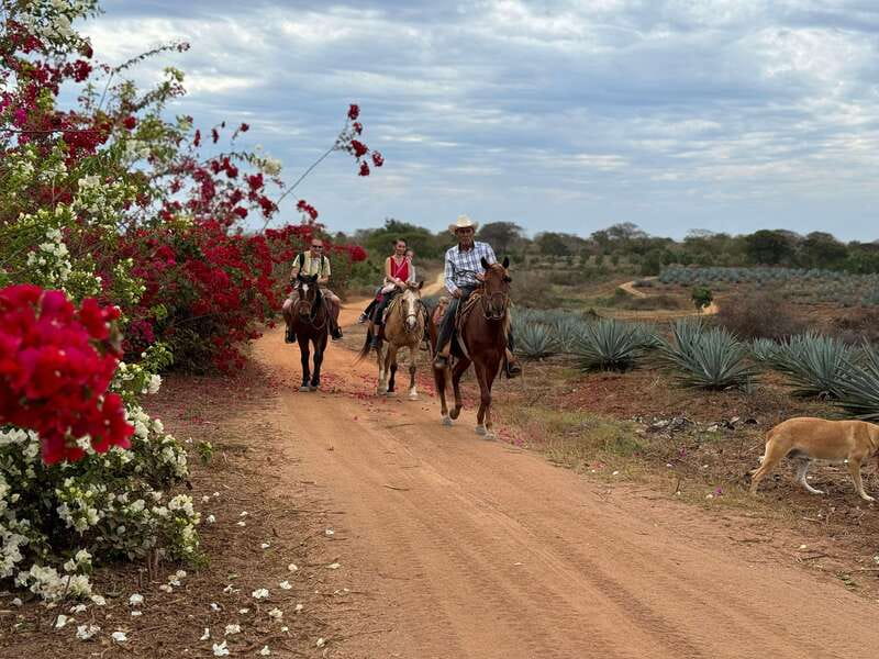 From Mazatlan: ATV & Horse Back riding with Tequila Tasting - What the $210 price really covers