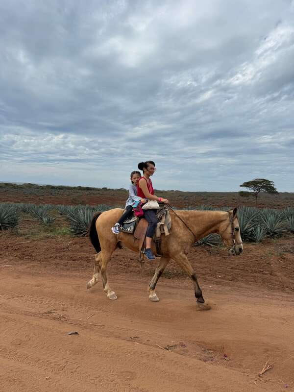 From Mazatlan: ATV & Horse Back riding with Tequila Tasting - Who will enjoy this half-day adventure