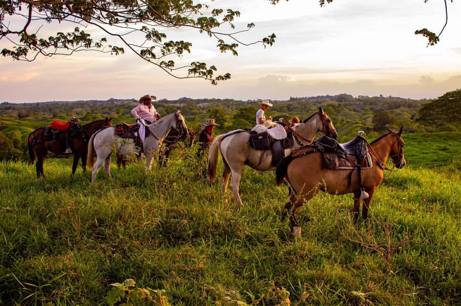From Medellin; (All-In) The Real Horseback Ranch Experience - Why this feels like a ranch day, not a short trail ride