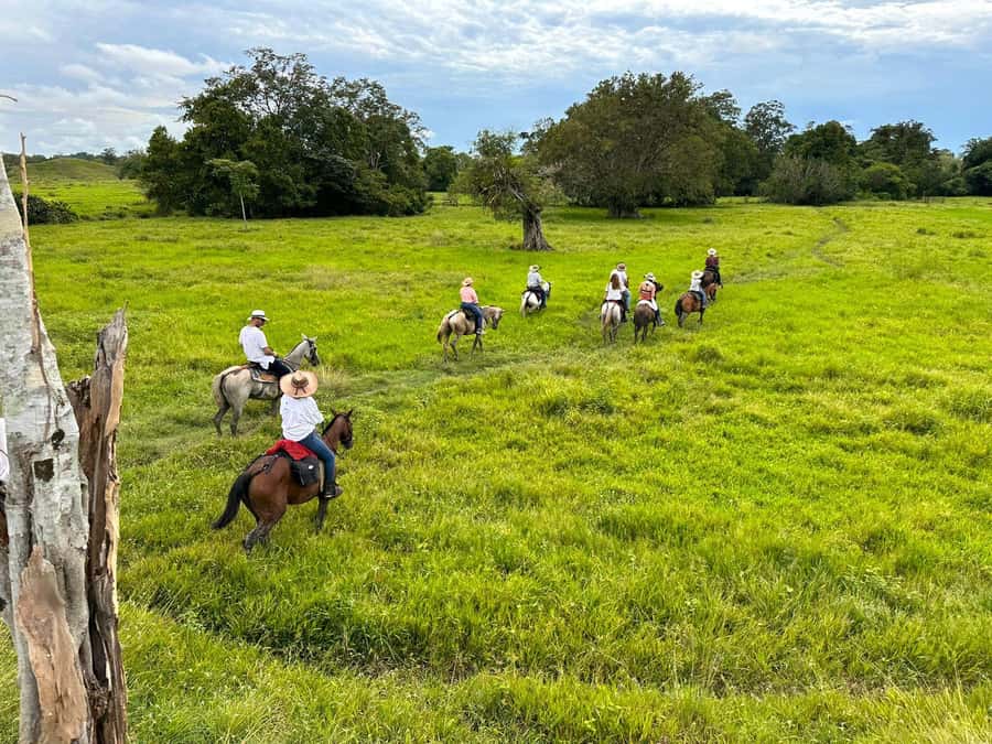 From Medellin; (All-In) The Real Horseback Ranch Experience - Breakfast at El Hato Restaurant