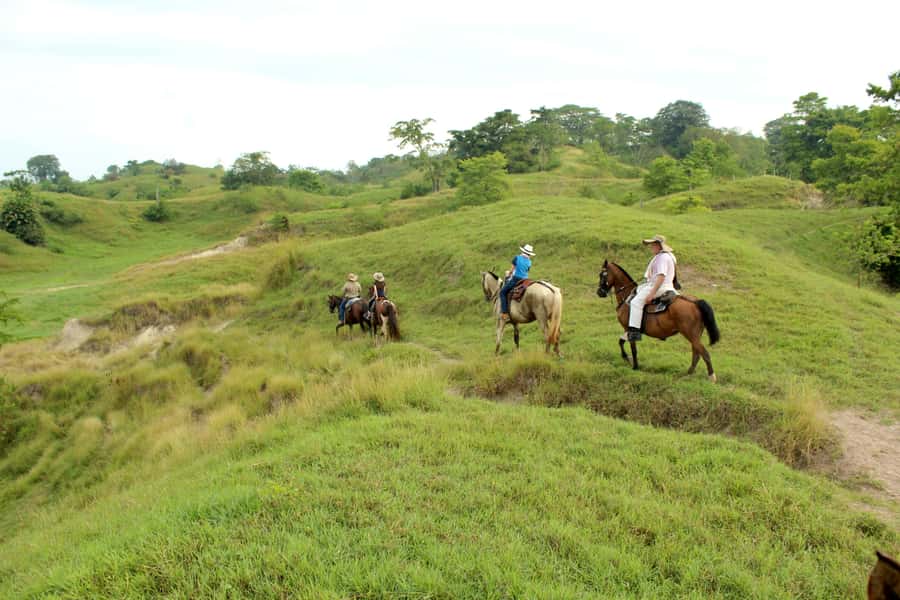 From Medellin; (All-In) The Real Horseback Ranch Experience - Safety briefing and choosing the right horse